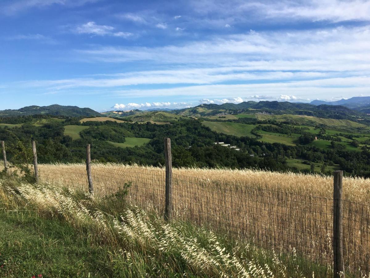 La Palazzina Di Ciagnano Villa Ozzano dell'Emilia Eksteriør billede